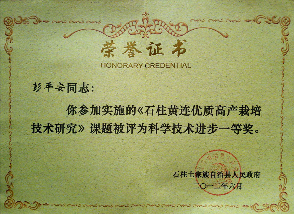 Peng subject first prize