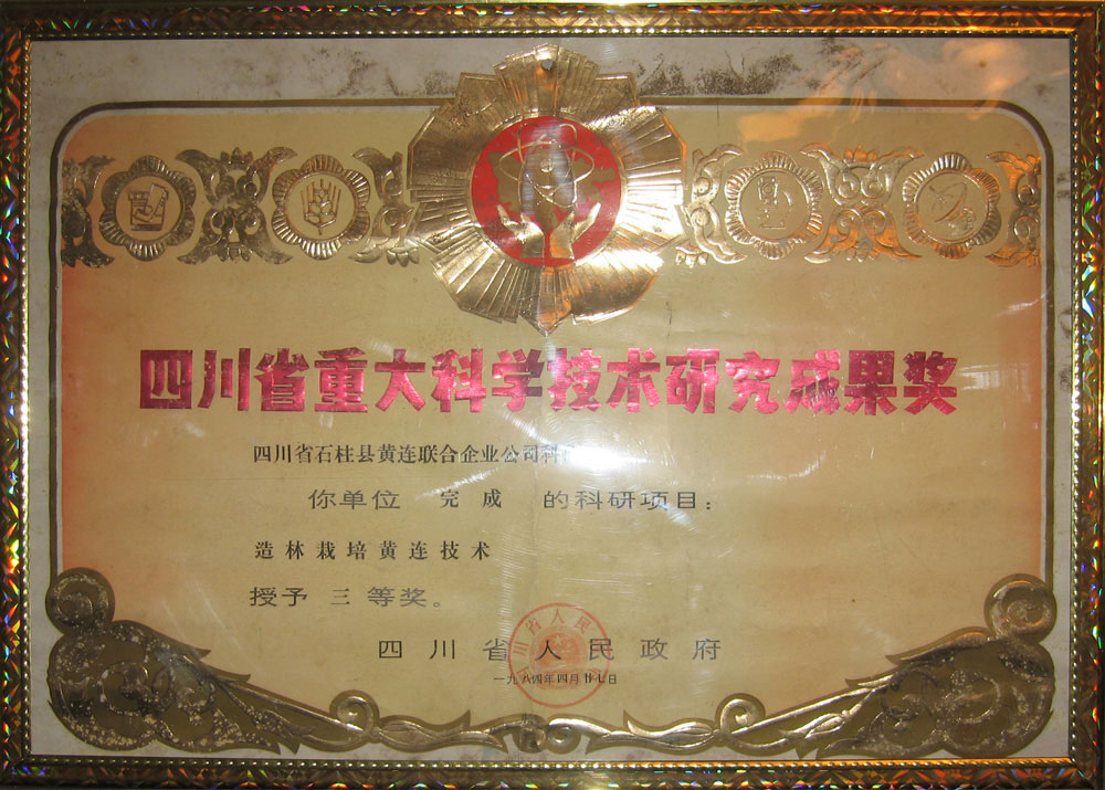 Certificate of Achievement of Afforestation Planting Technology