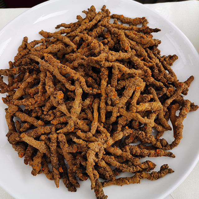 黃連産(chǎn)品 黃連産(chǎn)品