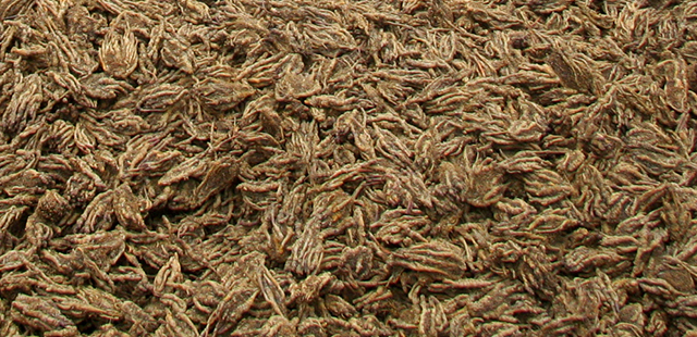 黃連産(chǎn)品 黃連産(chǎn)品