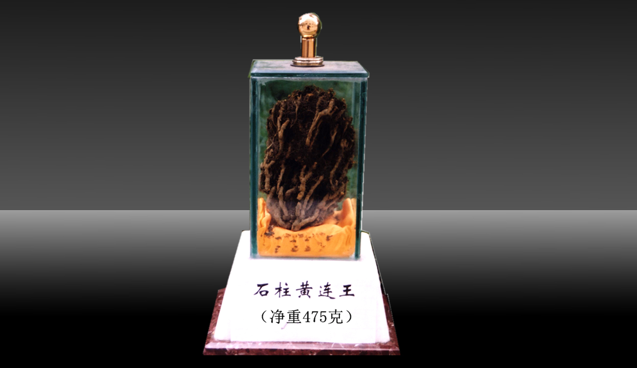黃連産(chǎn)品 黃連産(chǎn)品