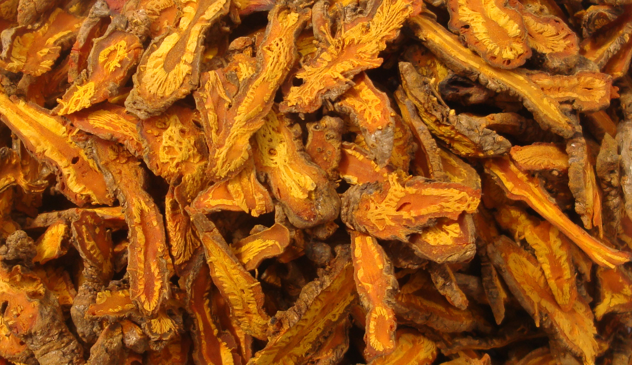 黃連産(chǎn)品