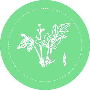 産(chǎn)品優勢