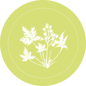 産(chǎn)品優勢