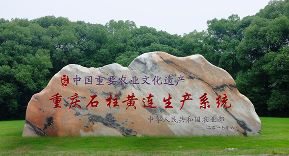關于我們