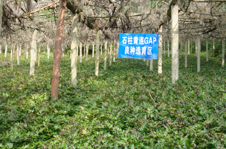 基地建設