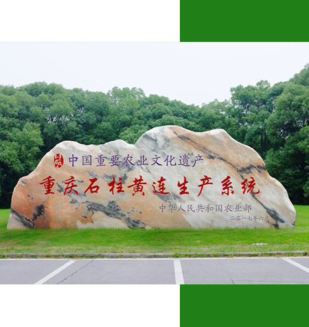 企業介紹